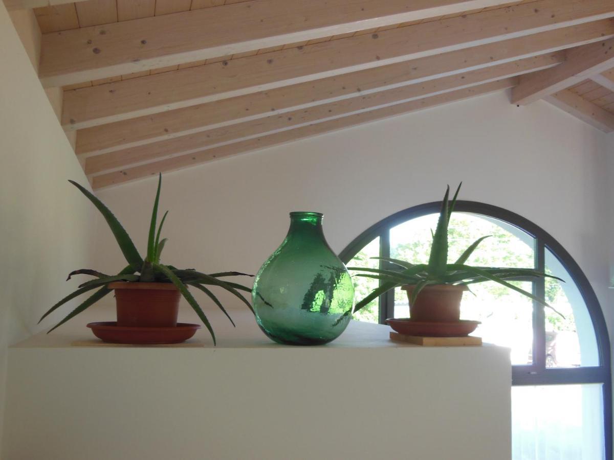 Ca' Del Portego テッセラ エクステリア 写真
